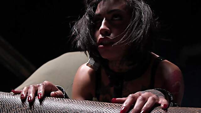 Ebony goddess Ravyn Alexa teases with her huge fakes and tattoos